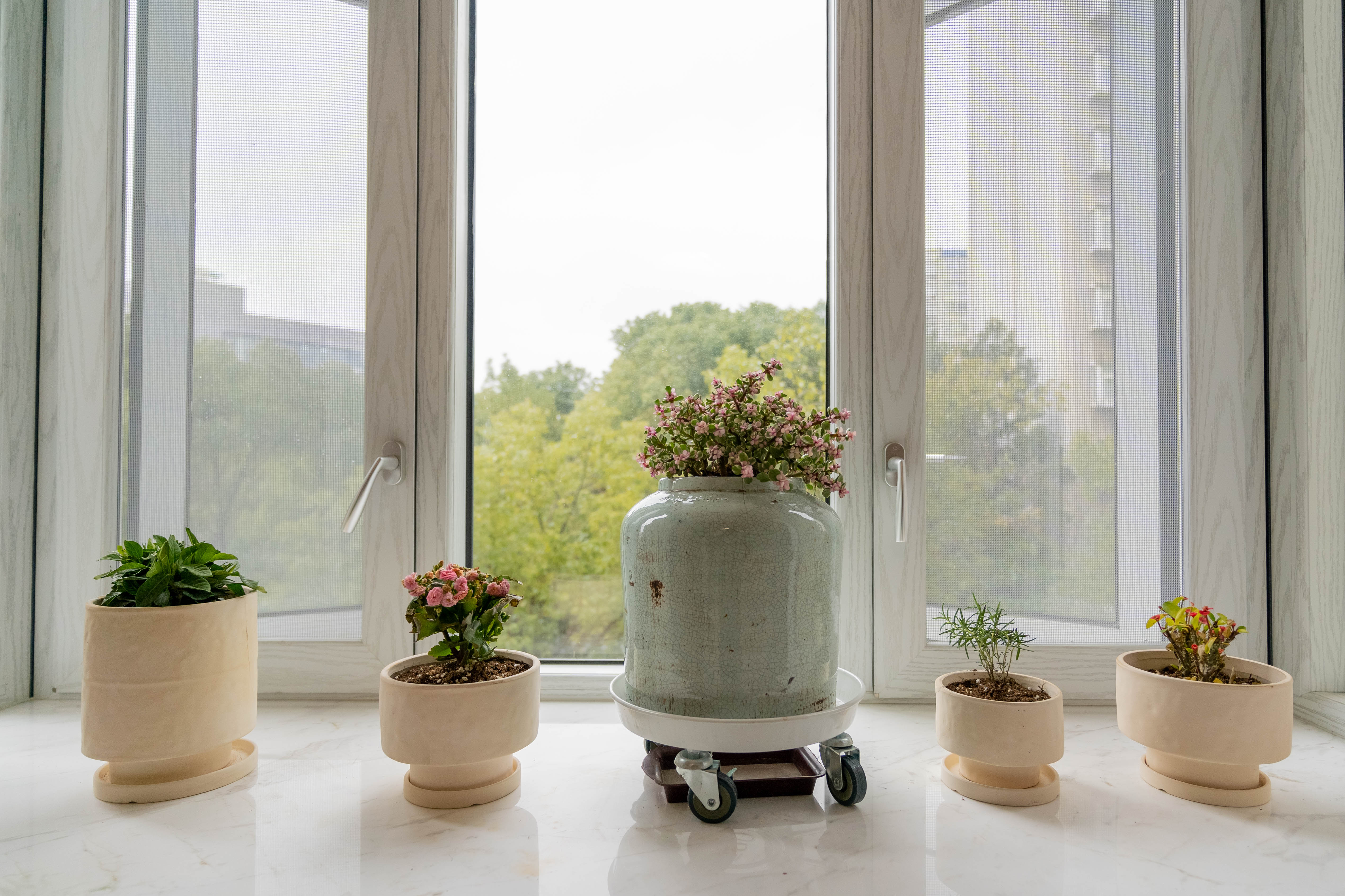 日式風,楚天麗園